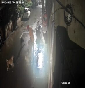 पिंपरी-चिंचवडमध्ये मोकाट कुत्र्यांचा हैदोस; सात कुत्र्यांच्या टोळक्याचा तरुणावर हल्ला