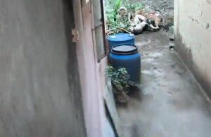 बिबट्याचा पोलिसावर हल्ला; कोल्हापूरमधील धक्कादायक घटना कॅमेऱ्यात कैद